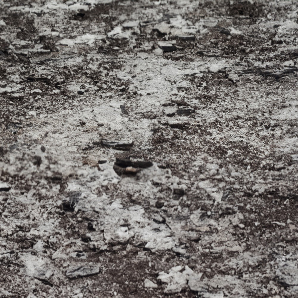 Kate Hiver Terrain Neige Sol Toile de fond pour la photographie - Kate Backdrop FR