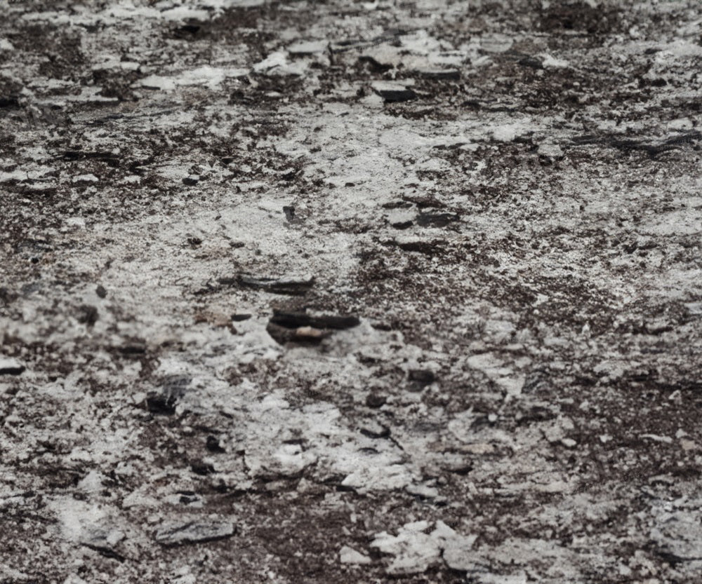 Kate Hiver Terrain Neige Sol Toile de fond pour la photographie - Kate Backdrop FR