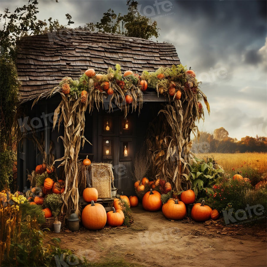 Kate Automne Vieille Maison de Citrouille Toile de fond pour la photographie