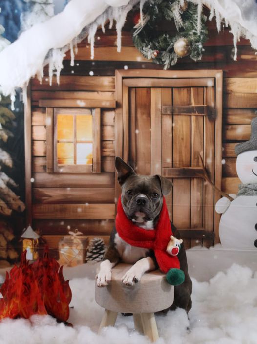 Kate Hiver Noël Bonhomme de neige Maison Toile de fond pour la photographie - Kate Backdrop FR