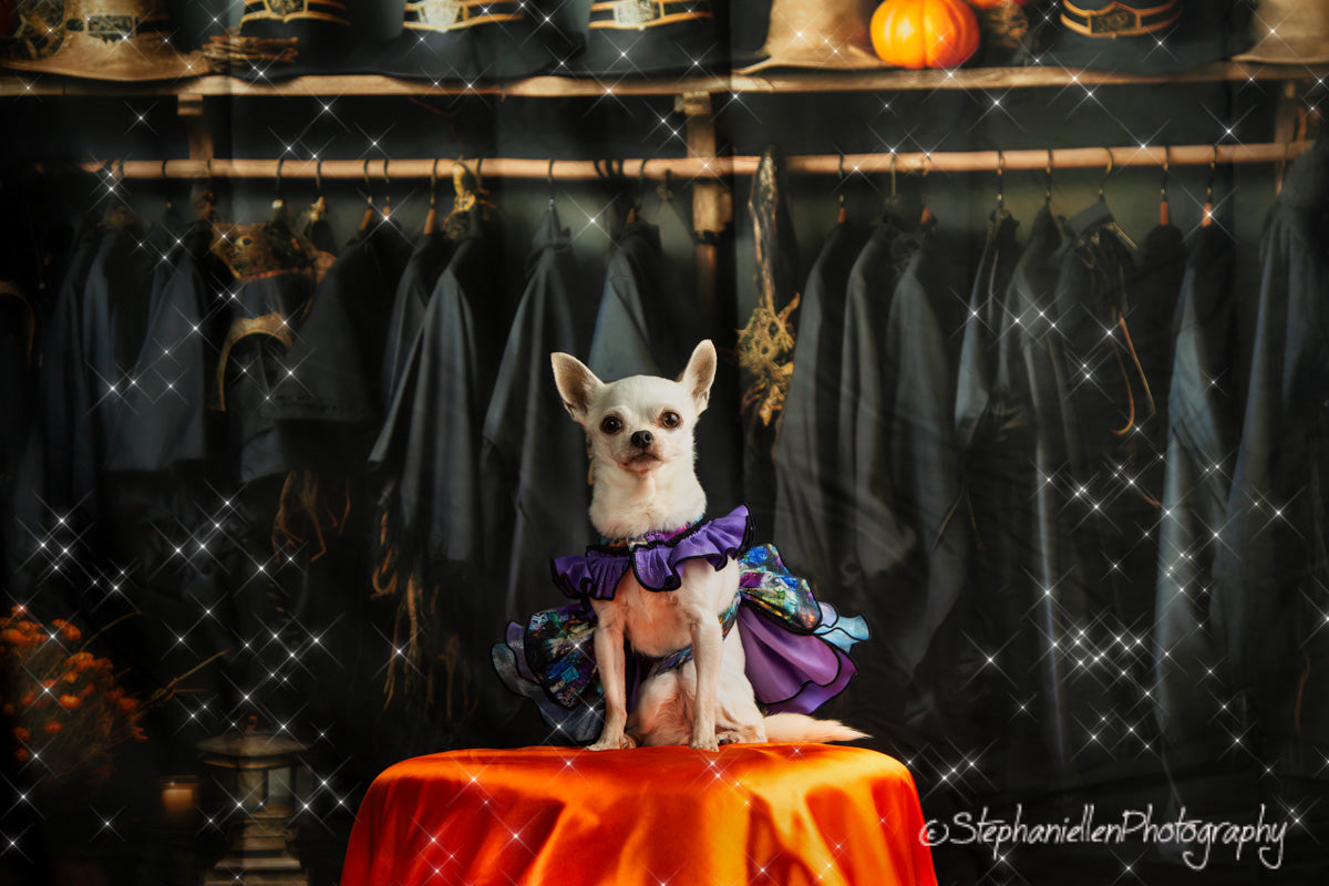 Kate Vestiaire du Enchanteur Halloween Toile de fond pour la photographie - Kate Backdrop FR