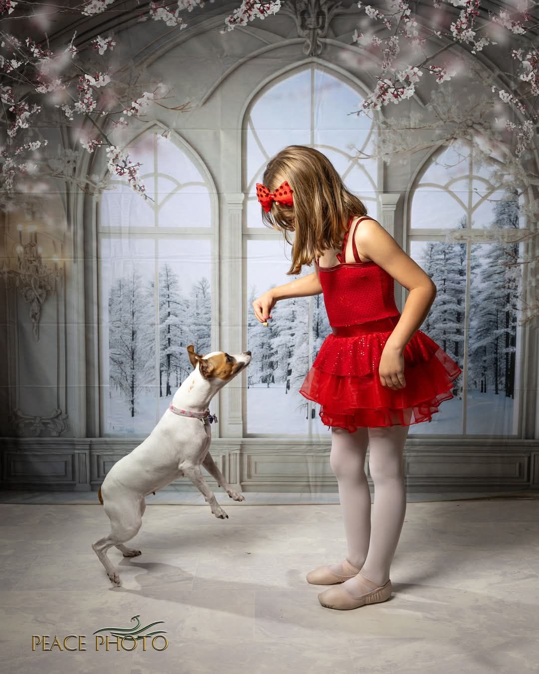 Kate Hiver Chambre Luxe Givrée Fenêtres Toile de fond conçue par Mini MakeBelieve - Kate Backdrop FR