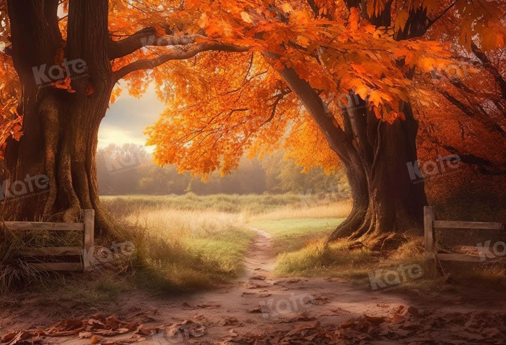 Kate Automne Arbres Feuille d'érable Toile de fond pour la photographie