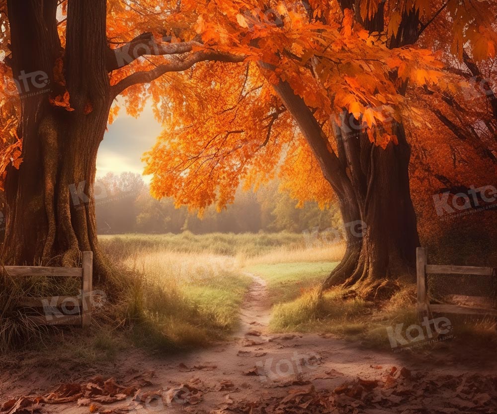 Kate Automne Arbres Feuille d'érable Toile de fond pour la photographie