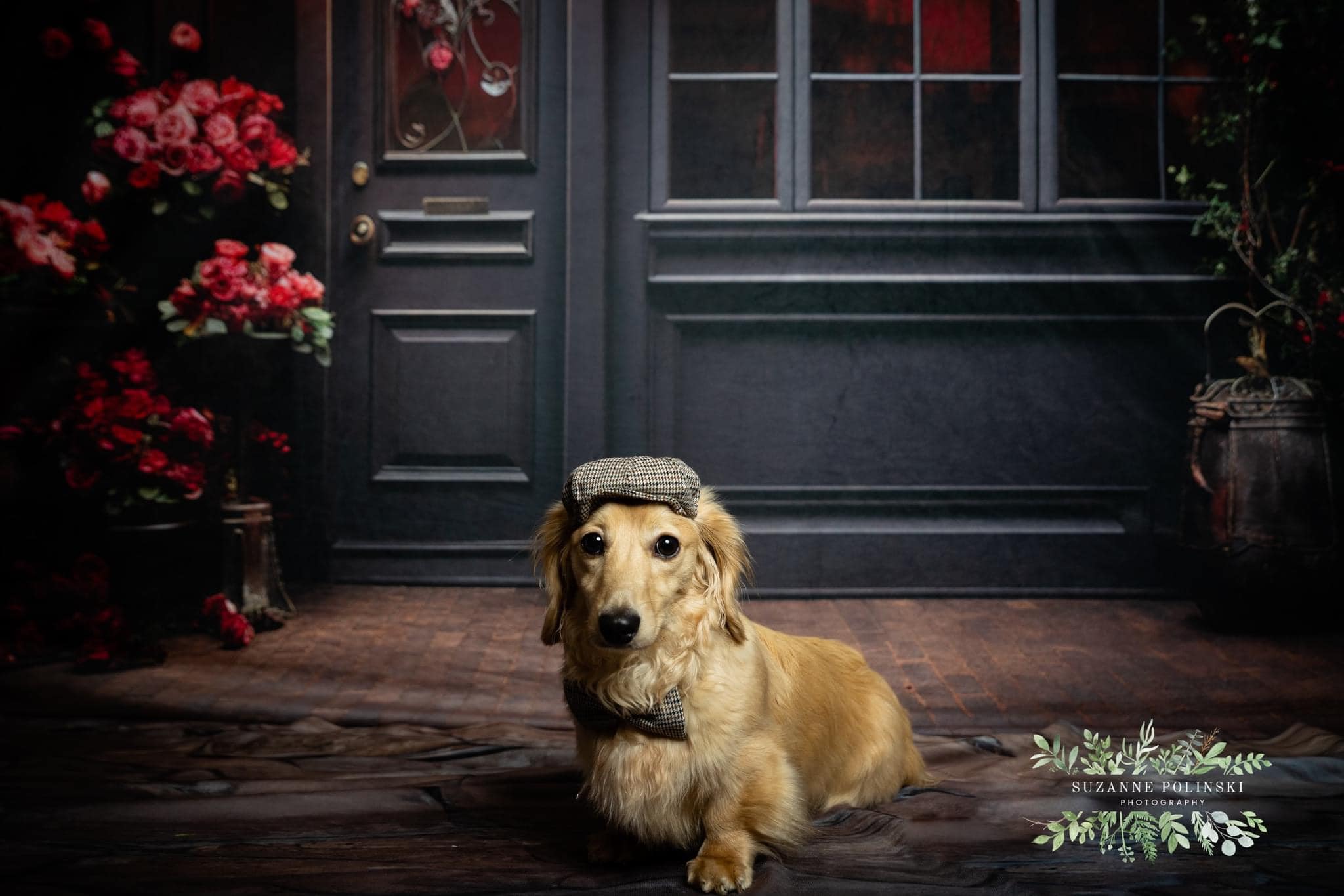 Kate Saint Valentin Roses rouges Maison Porte Toile de fond conçue par Emetselch - Kate Backdrop FR