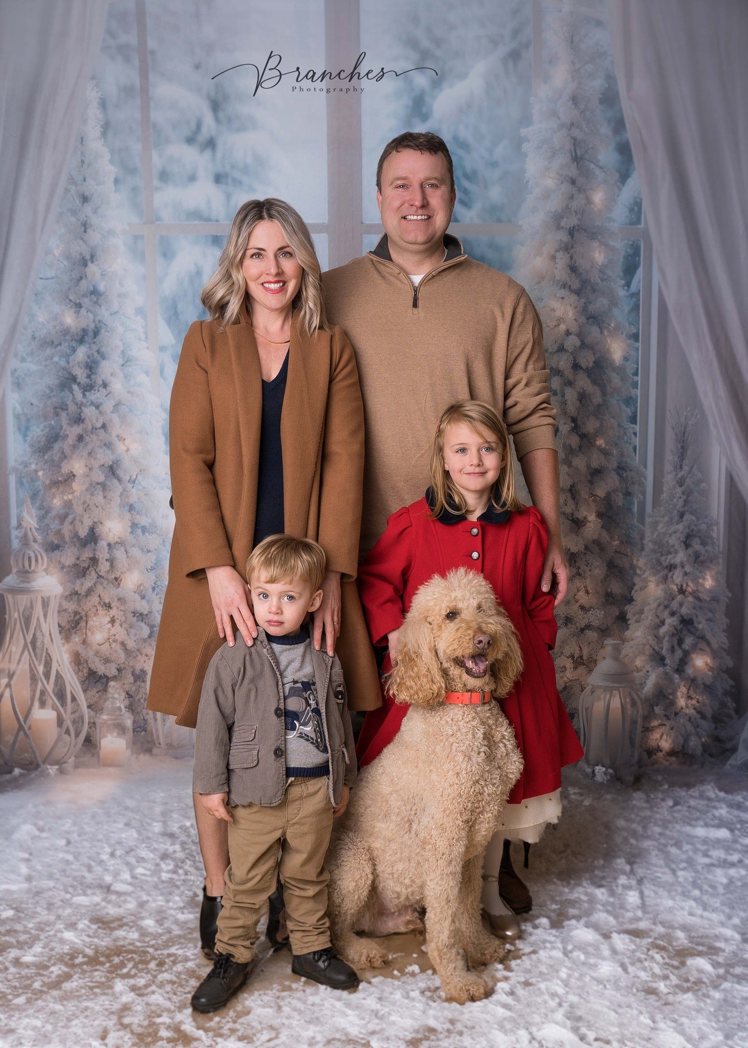 Offres Éclair #2 Kate Hiver Sapin de Noël Fenêtre Lumière Toile de fond conçue par Emetselch - Kate Backdrop FR