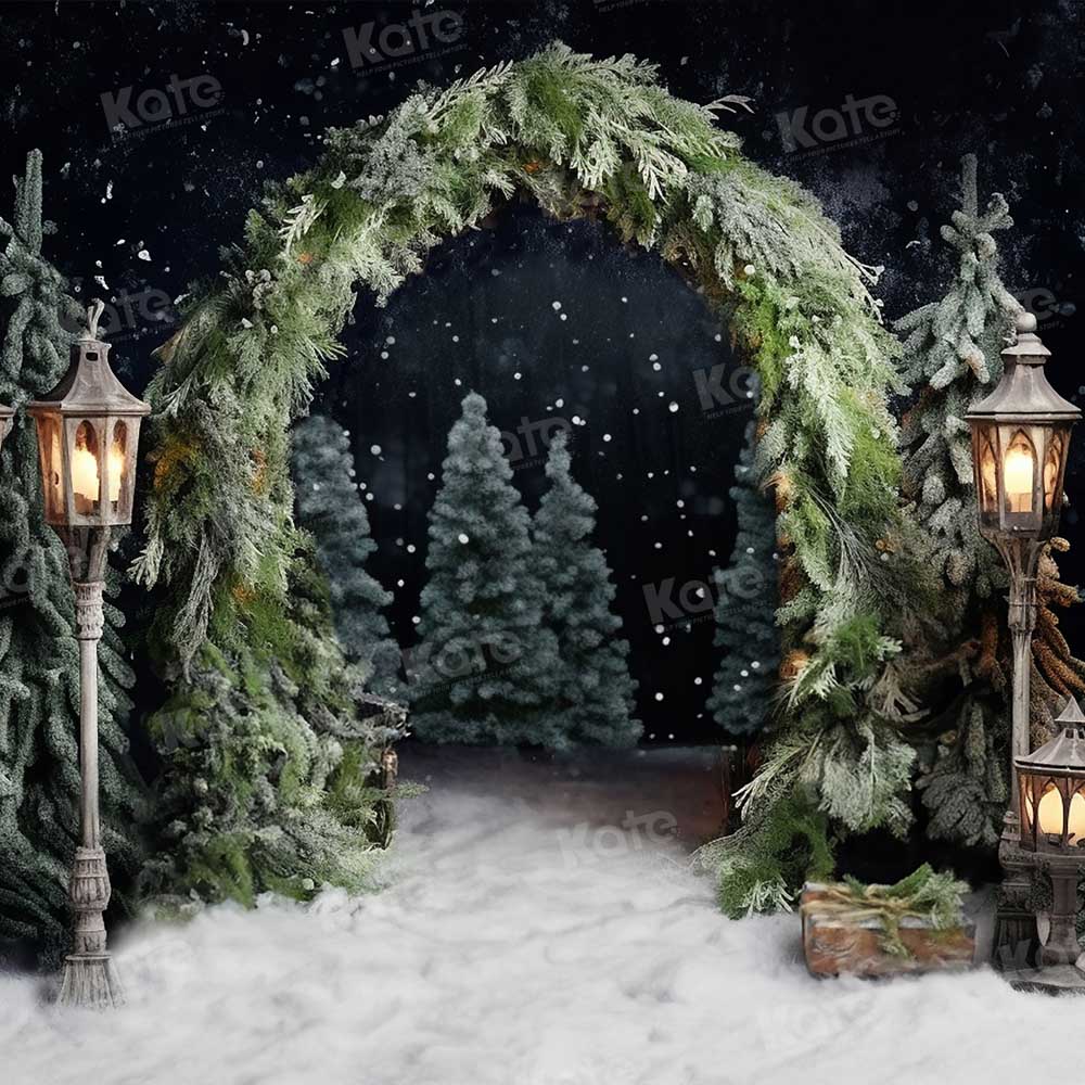 Kate Noël Extérieur Arche Arbres Nuit Toile de fond pour la photographie
