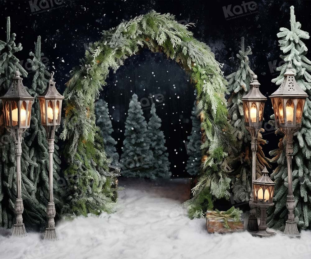 Kate Noël Extérieur Arche Arbres Nuit Toile de fond pour la photographie