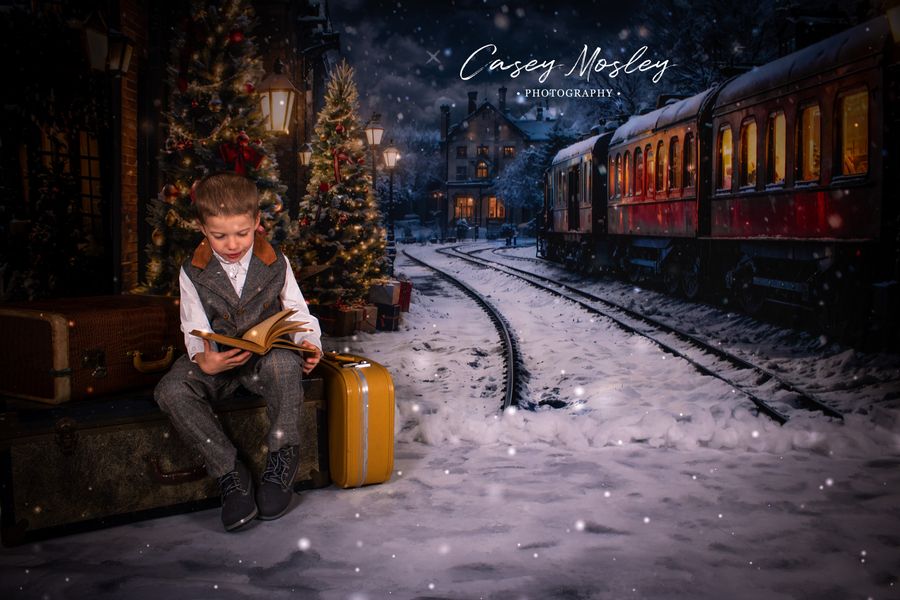 Kate Hiver Noël Arbre Train Toile de fond conçue par Emetselch - Kate Backdrop FR