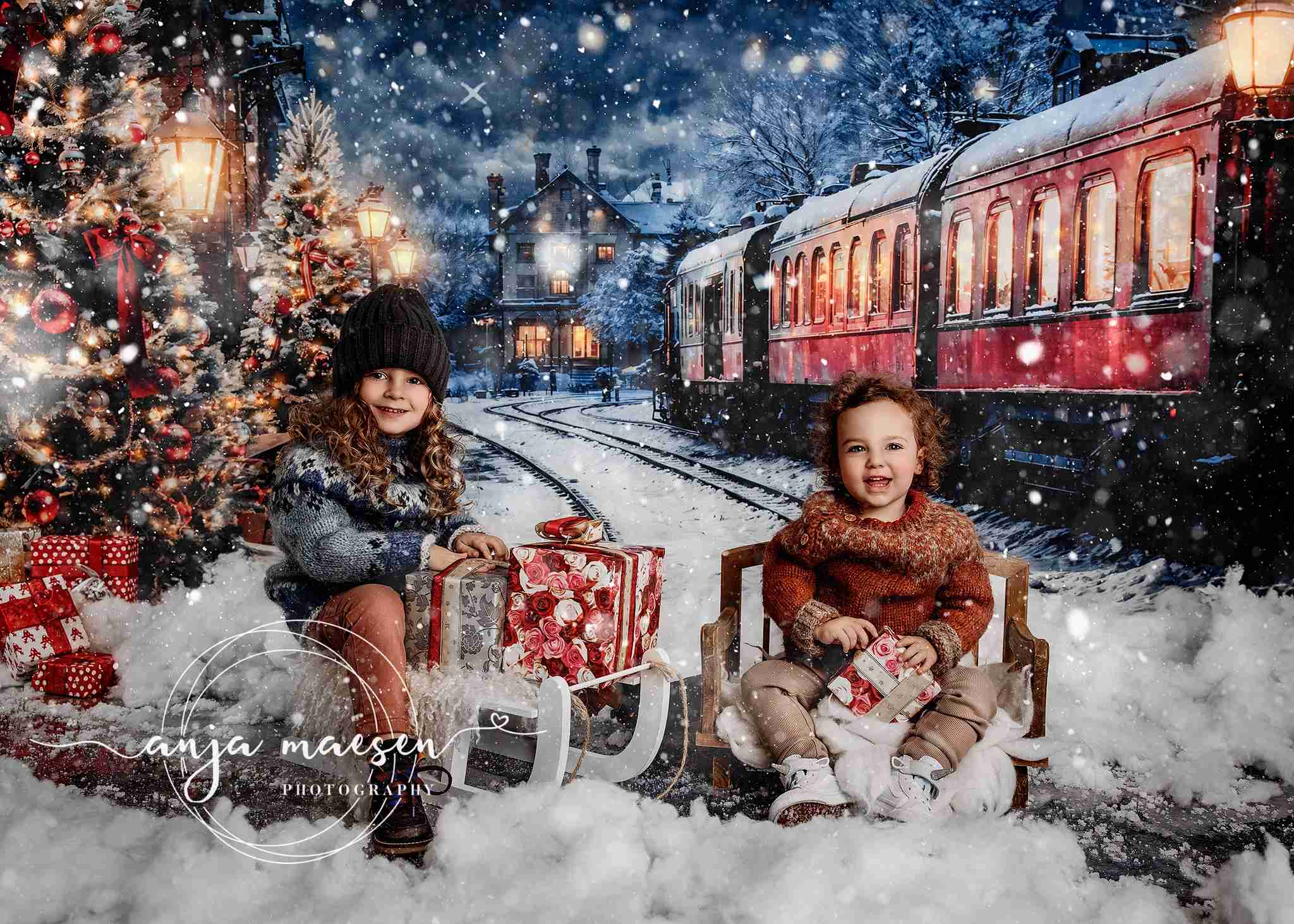 Kate Hiver Noël Arbre Train Toile de fond conçue par Emetselch - Kate Backdrop FR