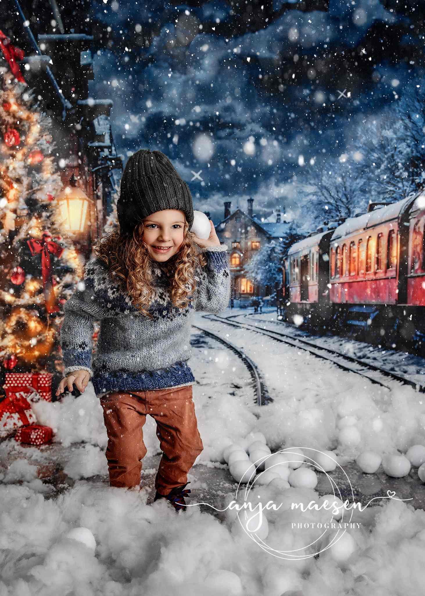 Kate Hiver Noël Arbre Train Toile de fond conçue par Emetselch - Kate Backdrop FR
