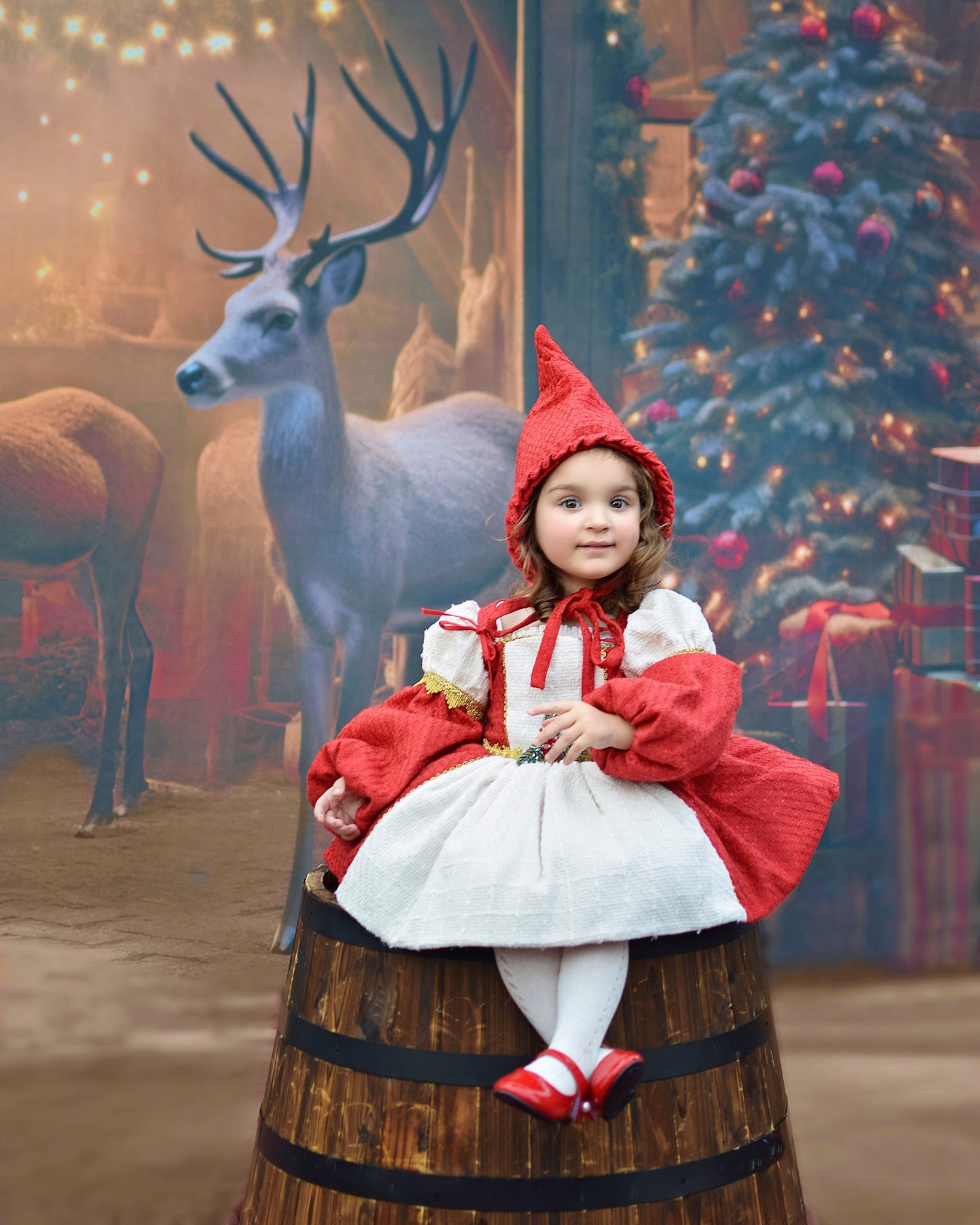 Kate Noël Écurie de rennes Toile de fond conçue par Lidia Redekopp - Kate Backdrop FR