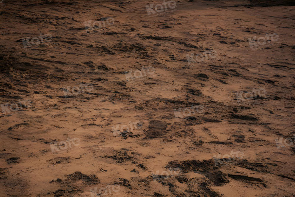 Kate Terroir Sol en sable Toile de fond pour la photographie - Kate Backdrop FR