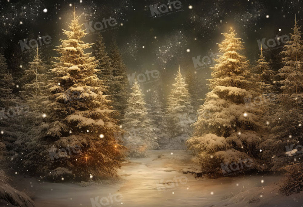 Kate Noël Neige Arbres Hiver Toile de fond pour la photographie