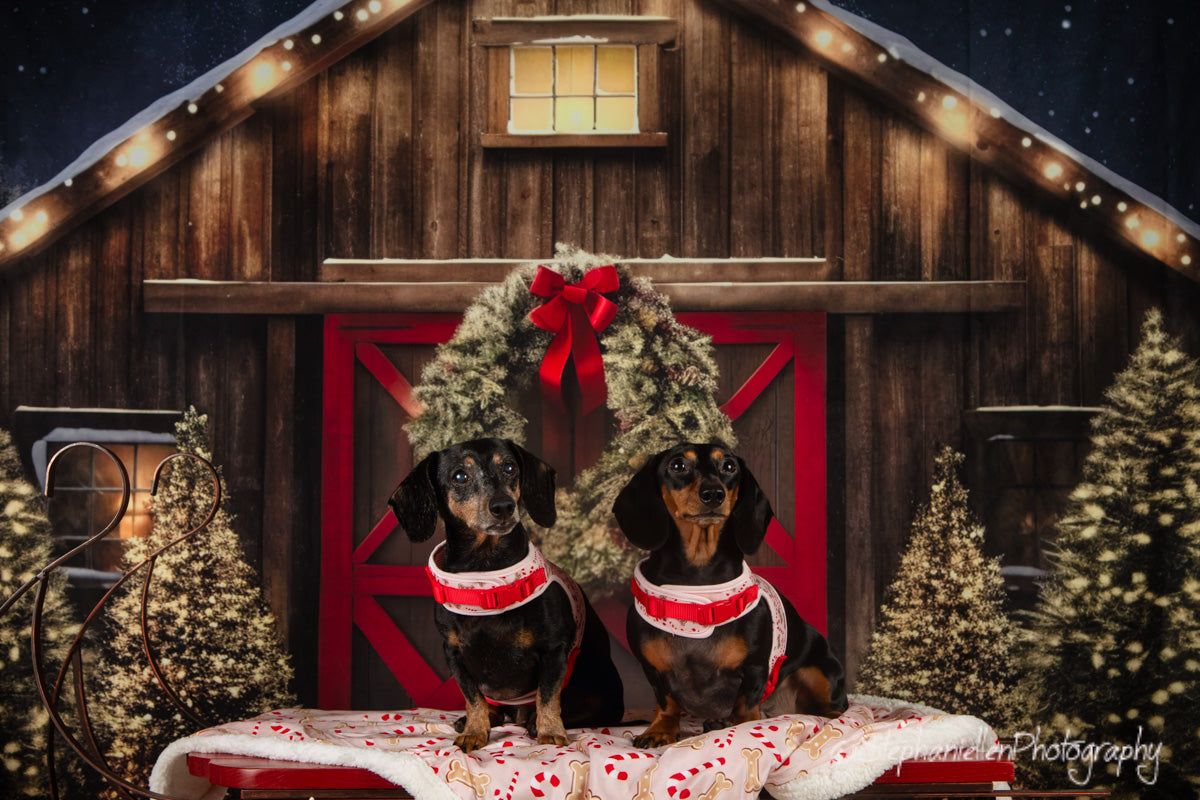 Kate Noël Extérieur Neige Maison Nuit Toile de fond pour la photographie - Kate Backdrop FR