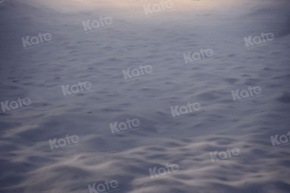 Kate Hiver Extérieur Sol Neige Blanc Toile de fond pour la photographie - Kate Backdrop FR