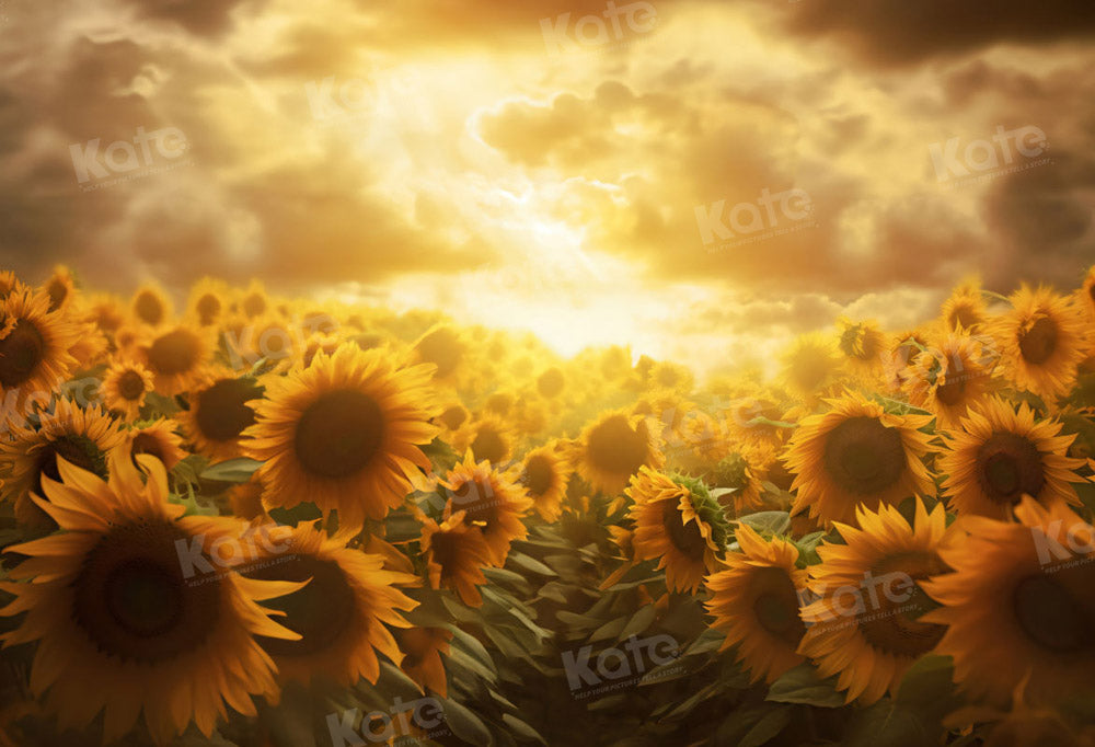 Kate Doré Coucher de soleil Tournesol Toile de fond pour la photographie - Kate Backdrop FR