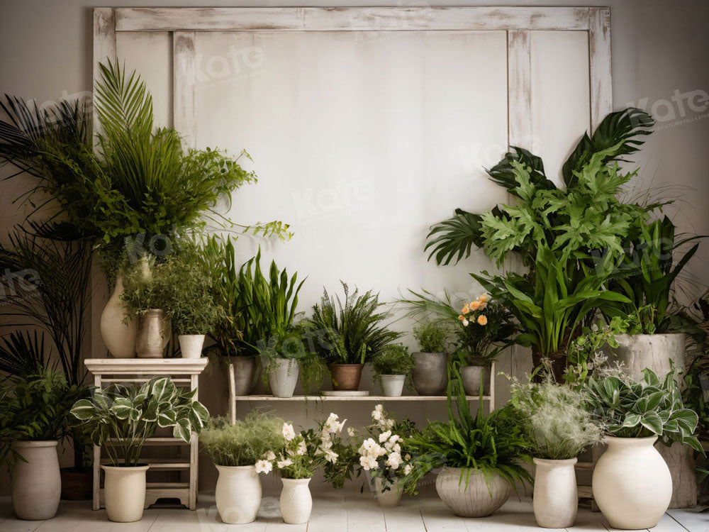 Kate Mur blanc Plante verte Chambre Toile de fond pour la photographie