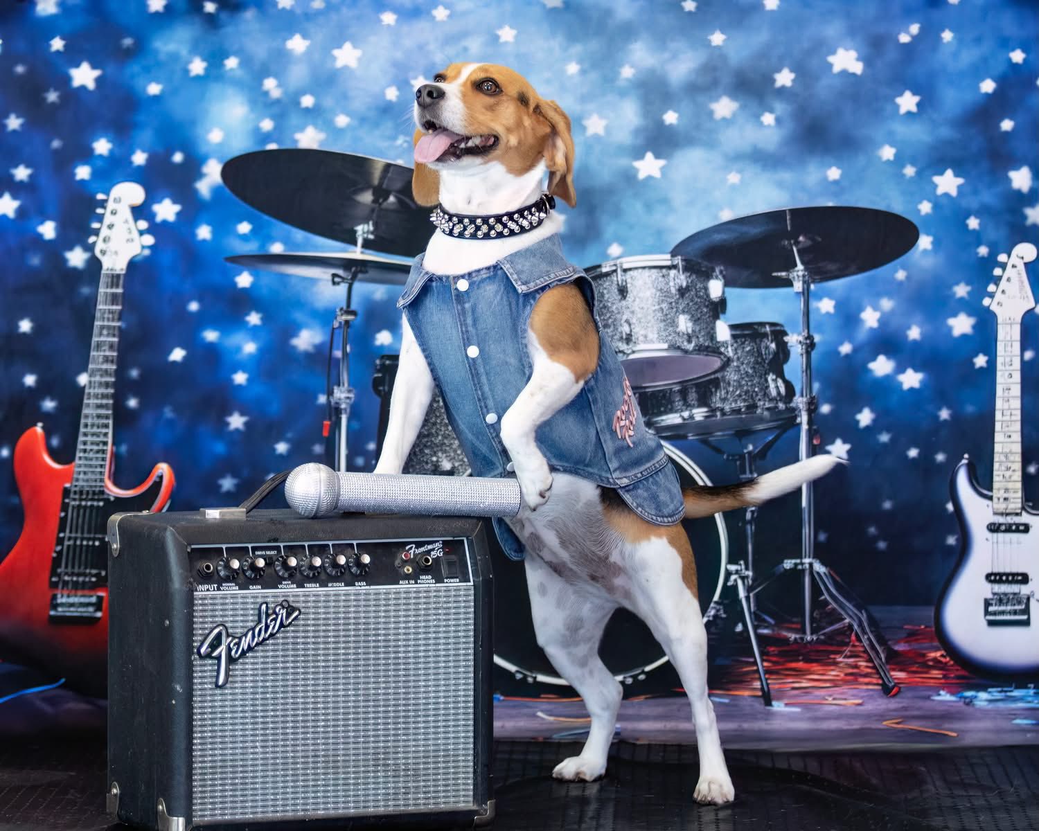 Kate Batterie Guitare Groupe Étoiles Toile de fond pour la photographie - Kate Backdrop FR