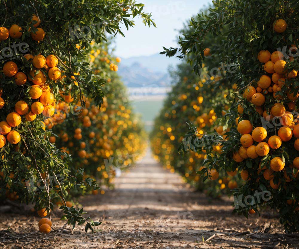 Kate Automne Chemin de terre Verger d’Orangers Toile de fond conçue par Chain Photographie - Kate Backdrop FR