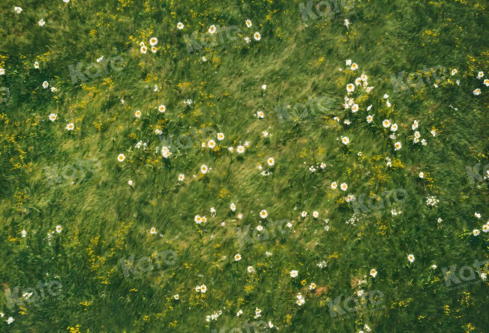 Kate Printemps Herbe Fleurs blanches Sol Toile de fond conçue par Kate Image