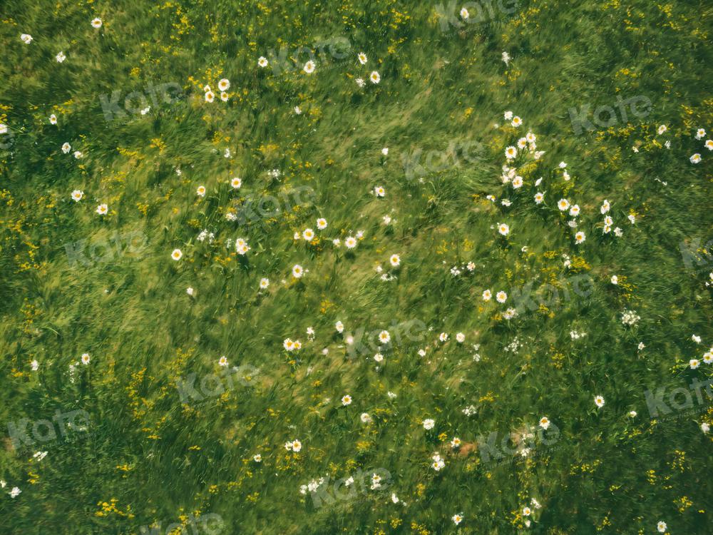 Kate Printemps Herbe Fleurs blanches Sol Toile de fond conçue par Kate Image