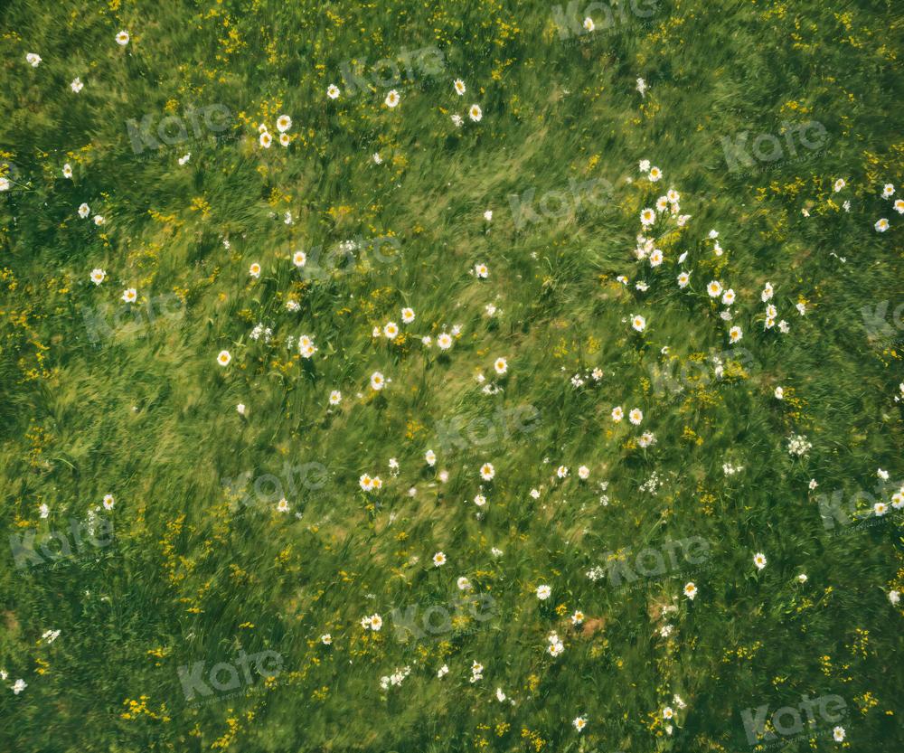 Kate Printemps Herbe Fleurs blanches Sol Toile de fond conçue par Kate Image