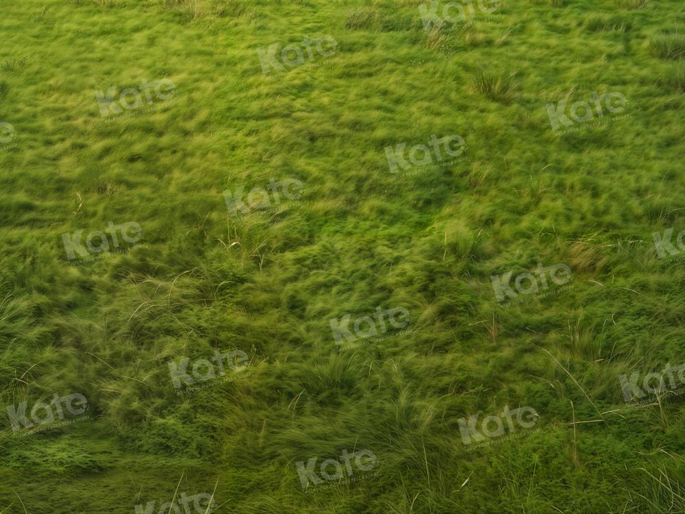 Kate Printemps Herbe Vert Sol Toile de fond conçue par Kate Image - Kate Backdrop FR