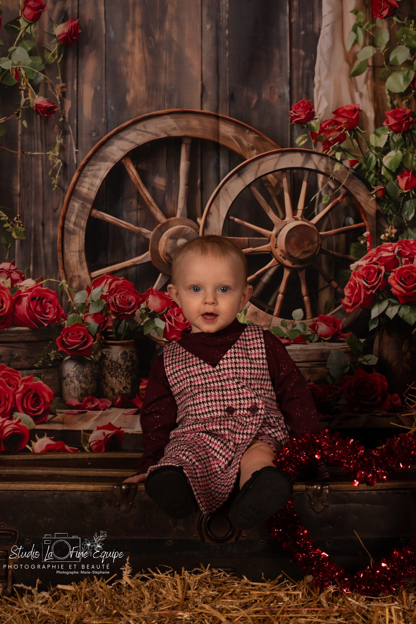 Kate Saint Valentin Rouge Chambre des roses Toile de fond conçue par Emetselch - Kate Backdrop FR