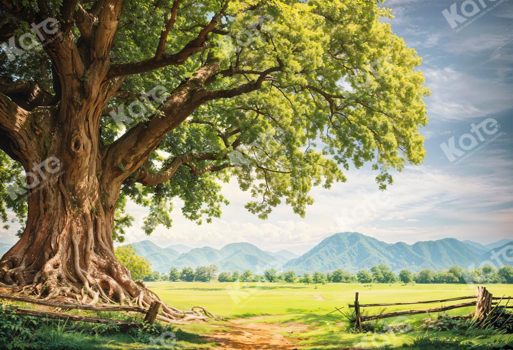 Kate Printemps Grand arbre Pelouse Toile de fond conçue par Chain Photographie
