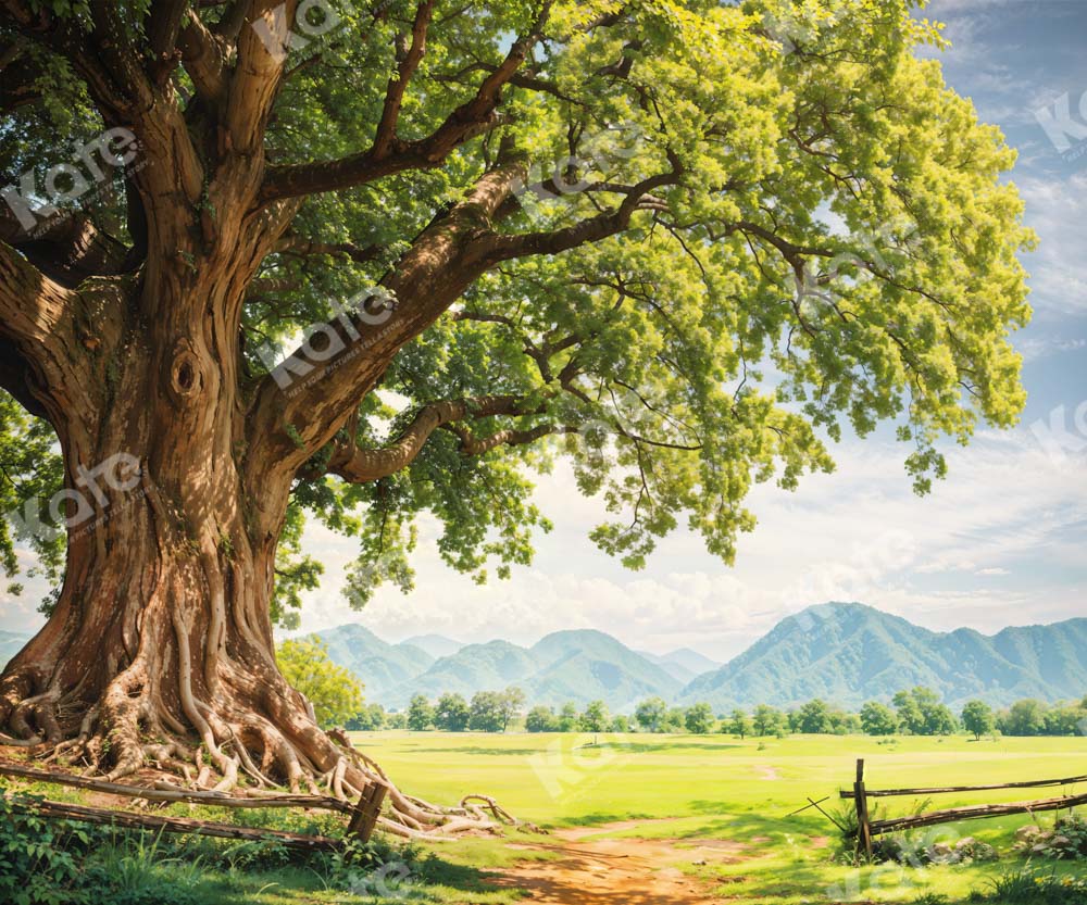 Kate Printemps Grand arbre Pelouse Toile de fond conçue par Chain Photographie