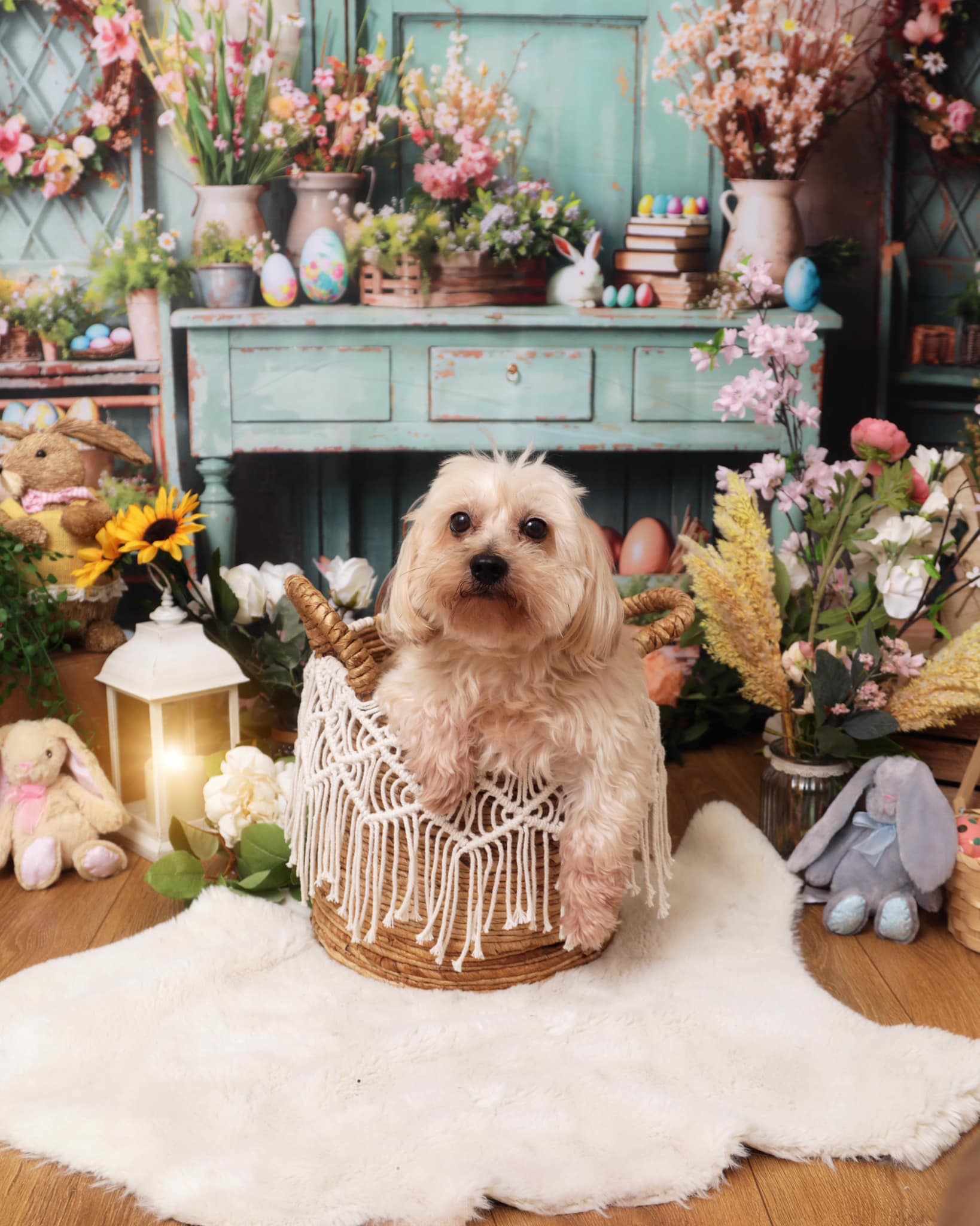 Kate Pâques Verdure Fleurs Lapin Œufs Toile de fond conçue par Emetselch - Kate Backdrop FR