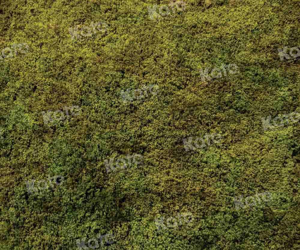Kate Printemps Vert Herbe Sol Toile de fond conçue par Kate Image