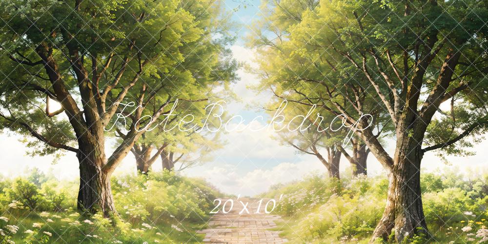 Kate Printemps Arbres Vert Herbe Chemin Toile de fond conçue par Chain Photographie - Kate Backdrop FR