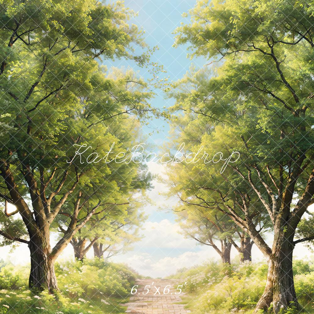 Kate Printemps Arbres Vert Herbe Chemin Toile de fond conçue par Chain Photographie - Kate Backdrop FR