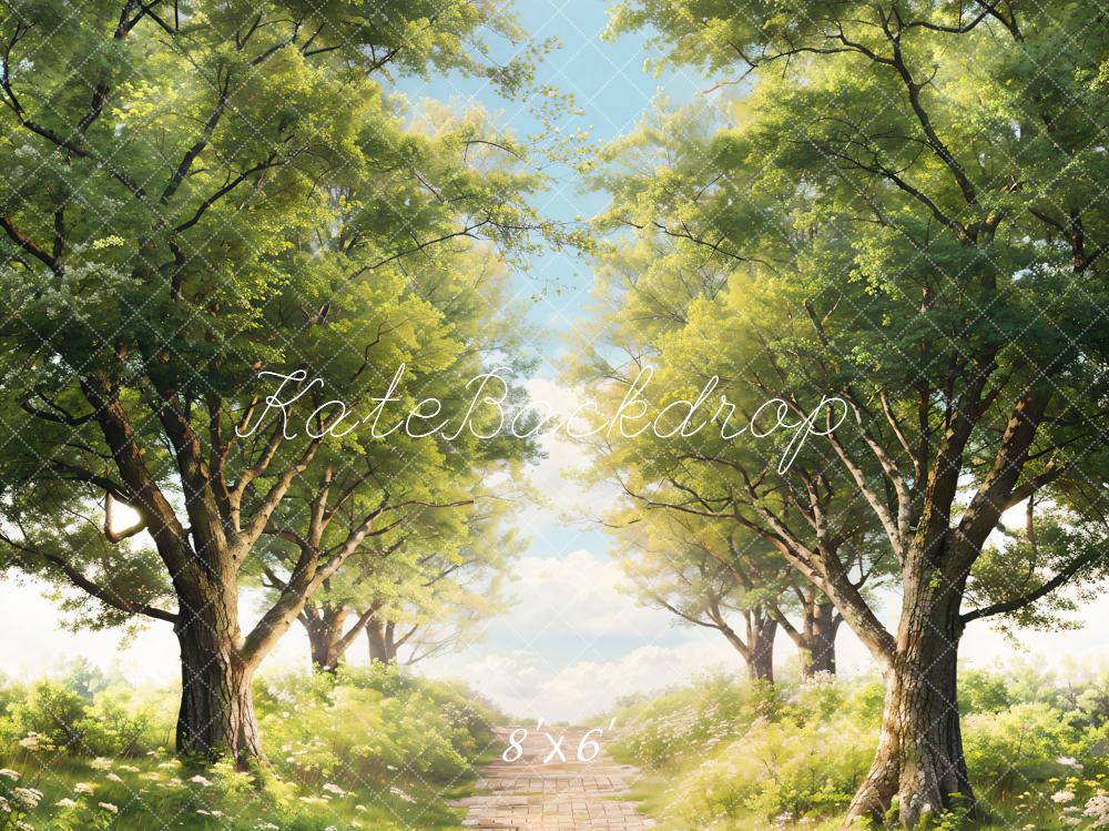 Kate Printemps Arbres Vert Herbe Chemin Toile de fond conçue par Chain Photographie - Kate Backdrop FR