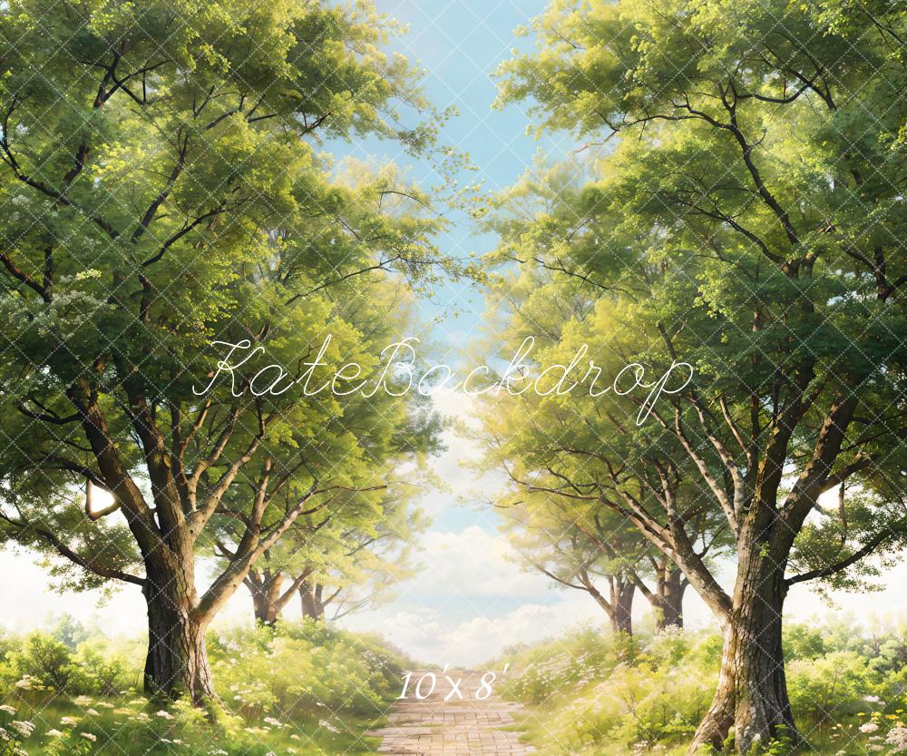 Kate Printemps Arbres Vert Herbe Chemin Toile de fond conçue par Chain Photographie - Kate Backdrop FR