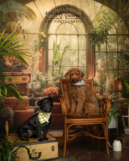 Kate Printemps Plante verte Fenêtre Chambre Toile de fond conçue par Chain Photographie - Kate Backdrop FR