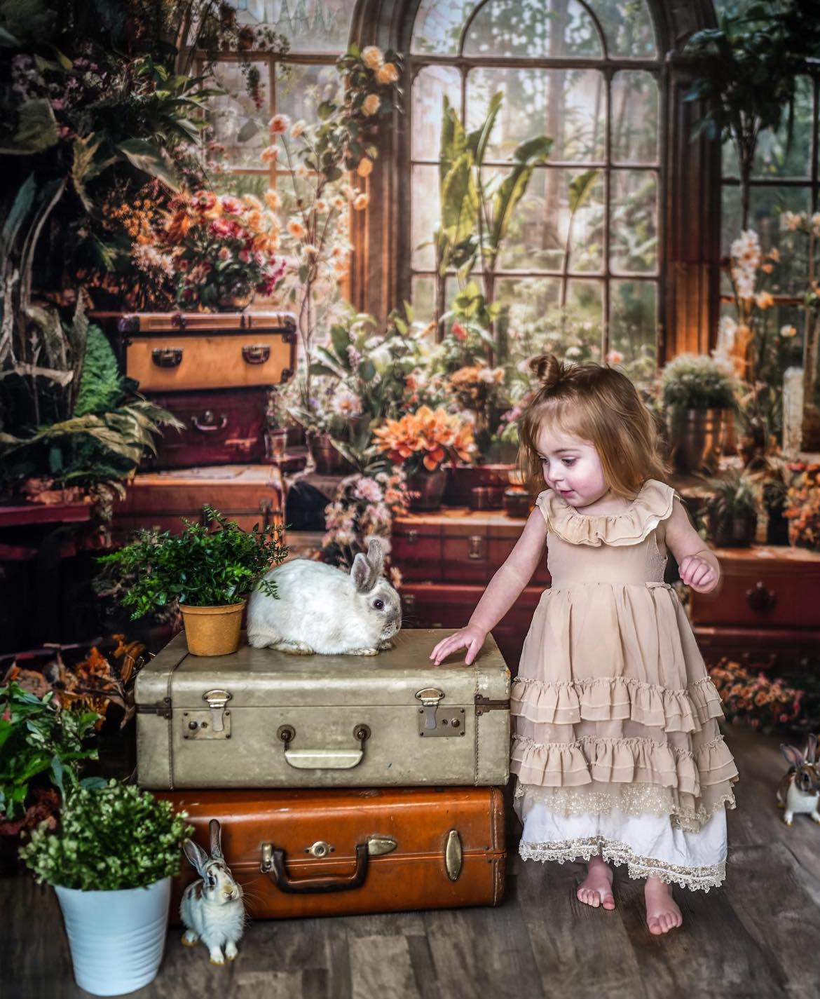 Kate Printemps Plante verte Fenêtre Chambre Toile de fond conçue par Chain Photographie - Kate Backdrop FR