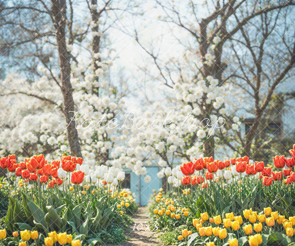 Kate Printemps Fleurs Arbre Chemin Extérieur Toile de fond conçue par Chain Photographie - Kate Backdrop FR