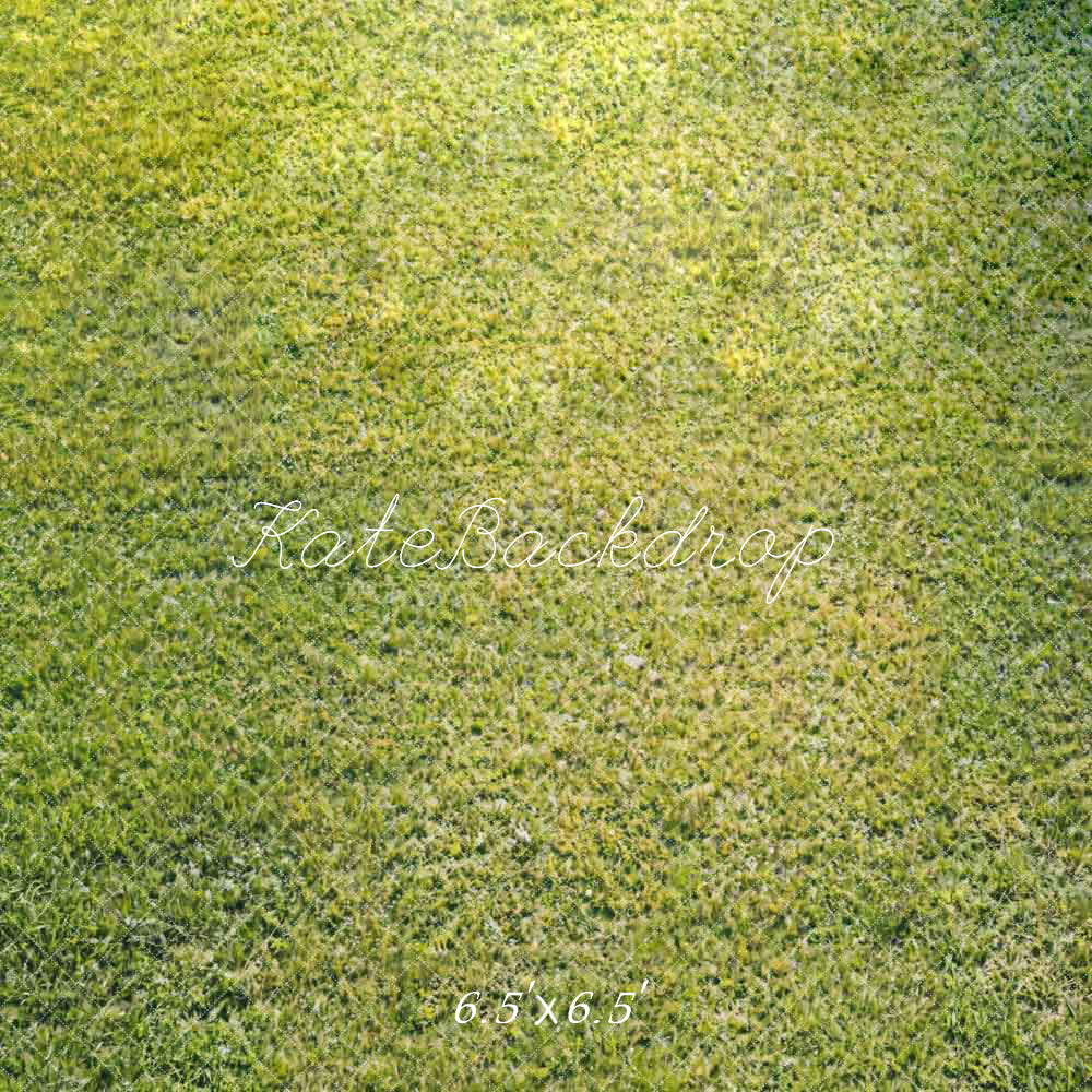 Kate Printemps Vert Herbe Sol Toile de fond conçue par Kate Image - Kate Backdrop FR