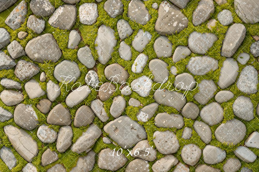 Kate Printemps Herbe Pierre Sol Toile de fond conçue par Kate Image - Kate Backdrop FR