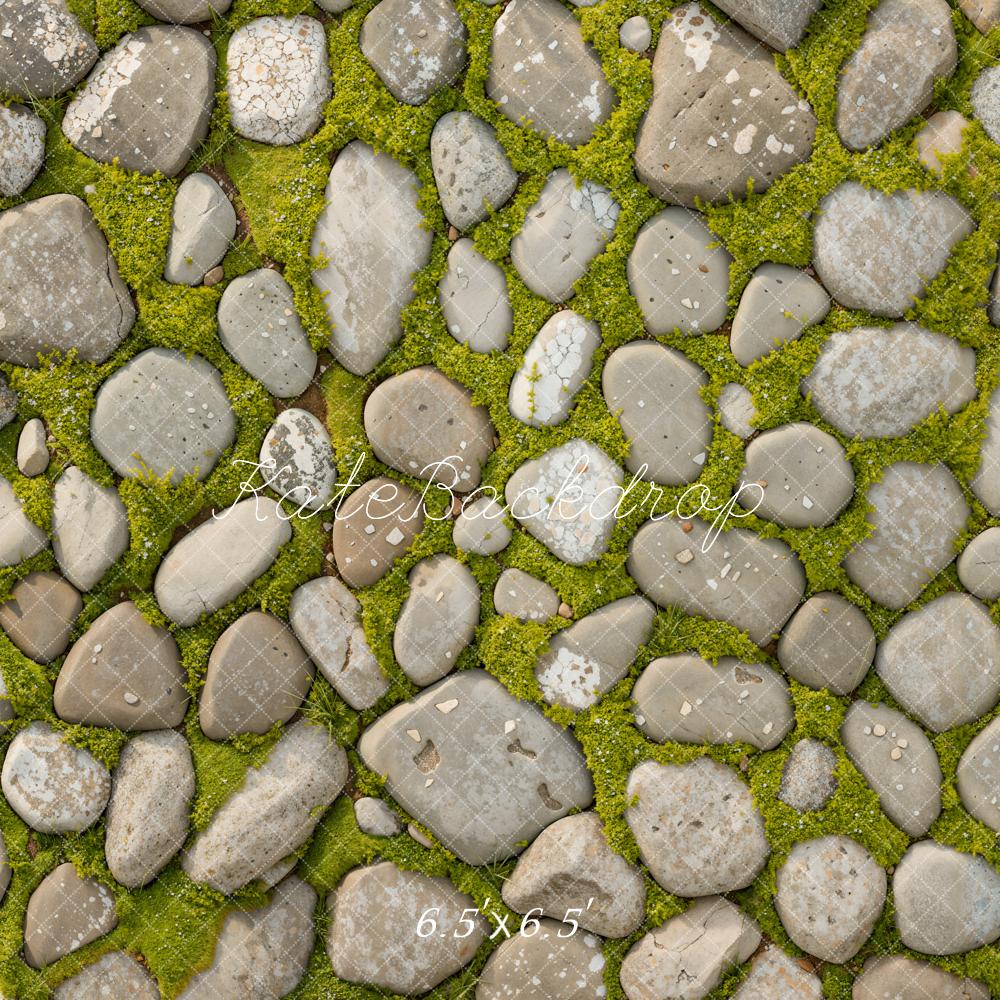 Kate Printemps Herbe Pierre Sol Toile de fond conçue par Kate Image - Kate Backdrop FR