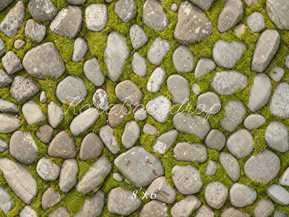 Kate Printemps Herbe Pierre Sol Toile de fond conçue par Kate Image - Kate Backdrop FR