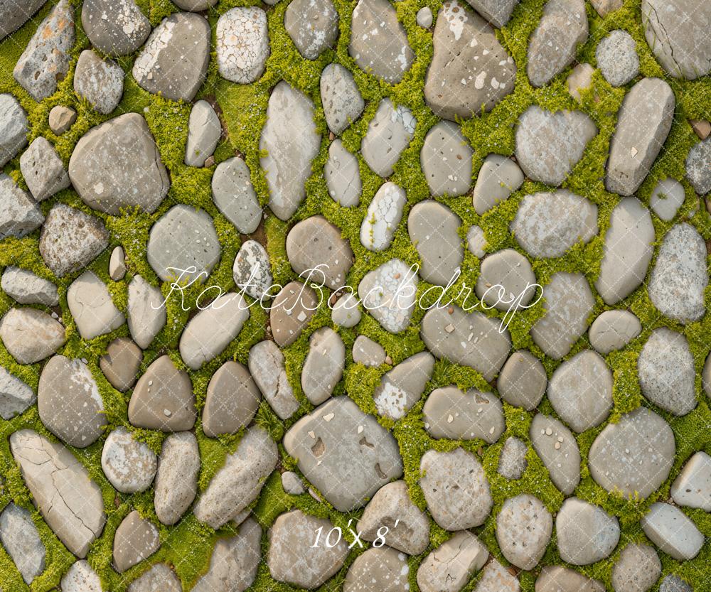 Kate Printemps Herbe Pierre Sol Toile de fond conçue par Kate Image - Kate Backdrop FR