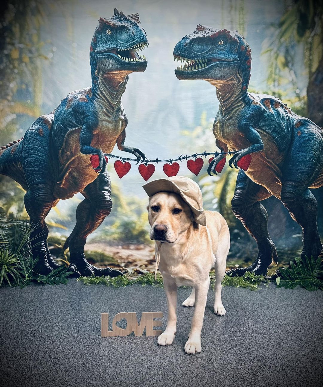 Kate Dinosaure Vélociraptor Saint-Valentin Toile de fond conçue par Mini MakeBelieve - Kate Backdrop FR