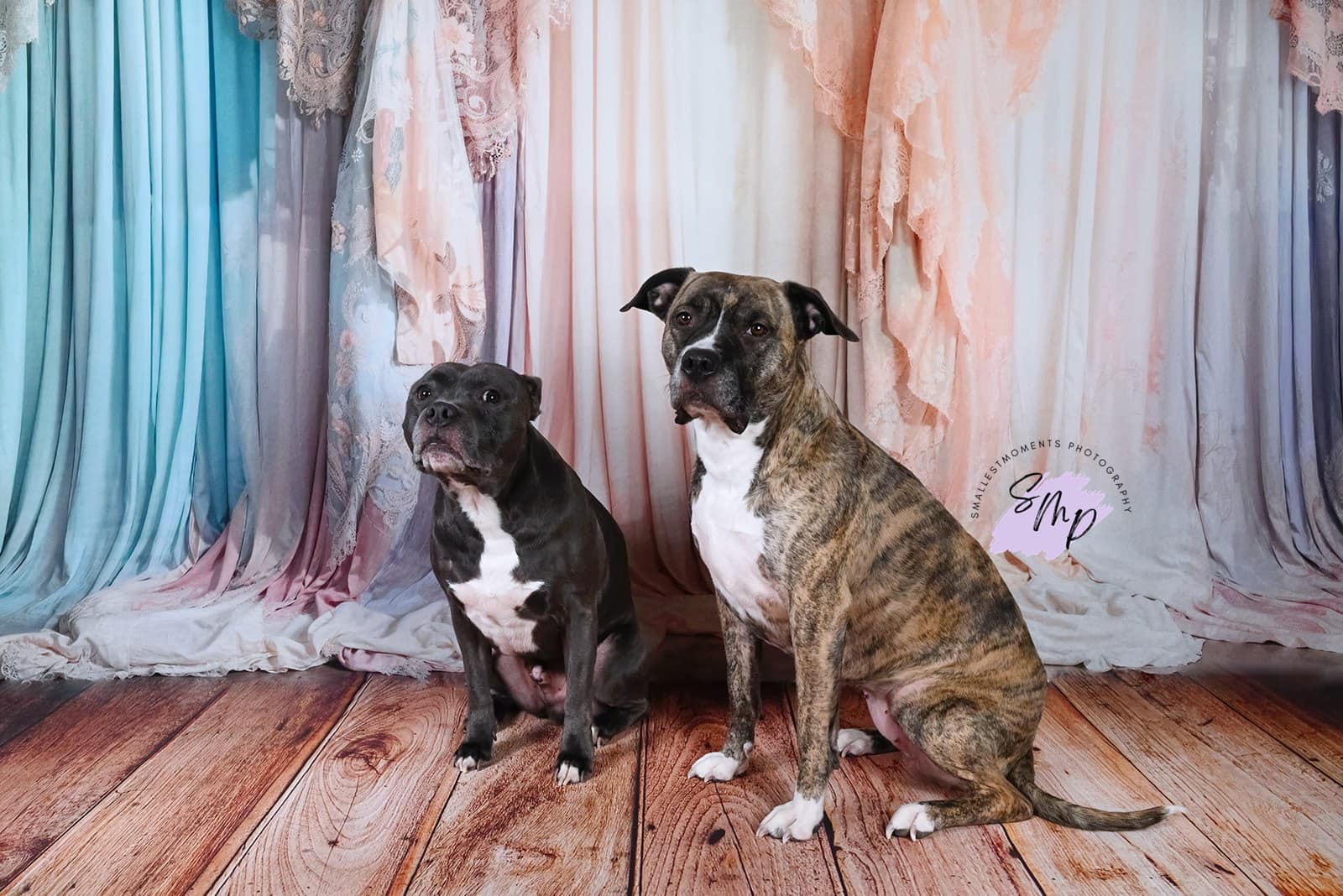 Kate Coloré Rideaux Doux Fête des mères Toile de fond conçue par Emetselch - Kate Backdrop FR