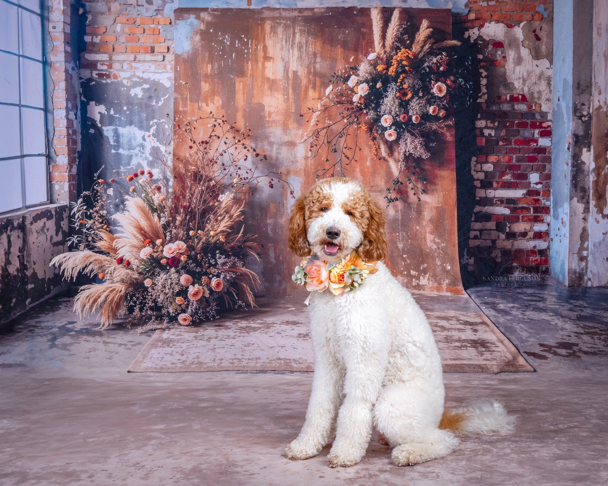 Kate Bohème Fleur séchée Vieux Brique Roseau Toile de fond conçue par Emetselch - Kate Backdrop FR