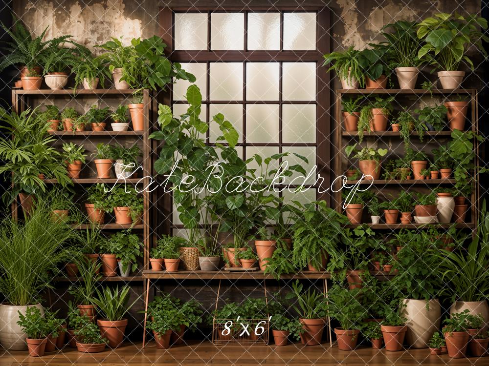 Kate Printemps Intérieur Plantes vertes Fenêtre Toile de fond conçue par Emetselch - Kate Backdrop FR