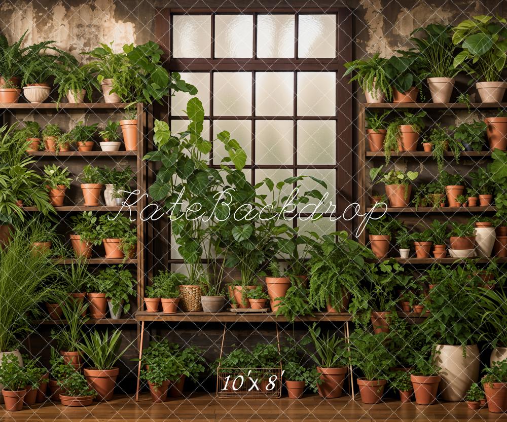 Kate Printemps Intérieur Plantes vertes Fenêtre Toile de fond conçue par Emetselch - Kate Backdrop FR